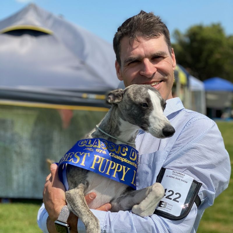 Ingwe All for Love - Breeding Bitch Arrowswift Whippets